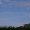 稲穂と鉄塔
