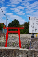 ゴミじゃないよね！