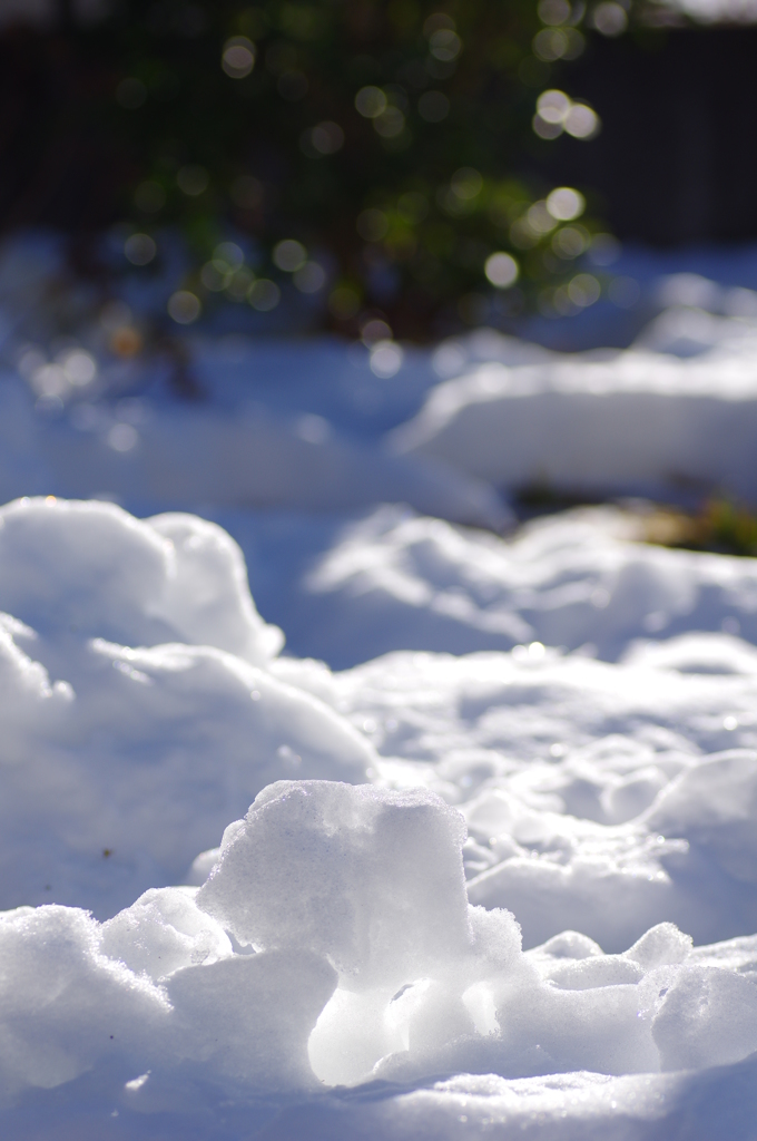 雪氷