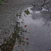 水たまり