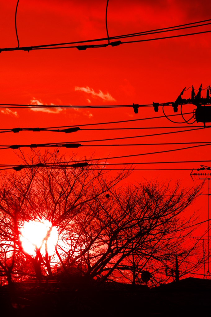 真っ赤に燃えた