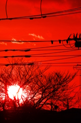 真っ赤に燃えた