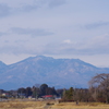枝垂れ桜の咲く頃に