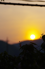 沈む夕日