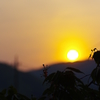 沈む夕日