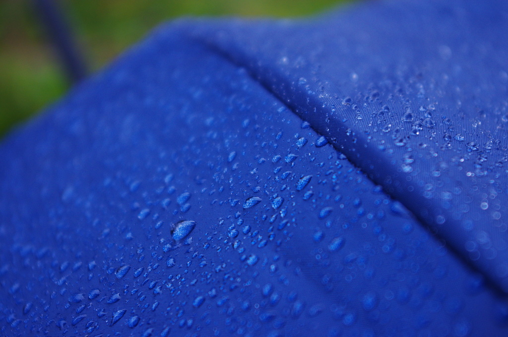 Umbrella