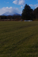 牧草と山