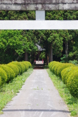 参道