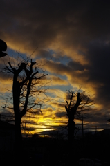 雨上がりの夕焼け