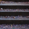 step by step