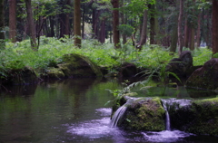 静涼2