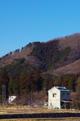 土曜の昼さがり