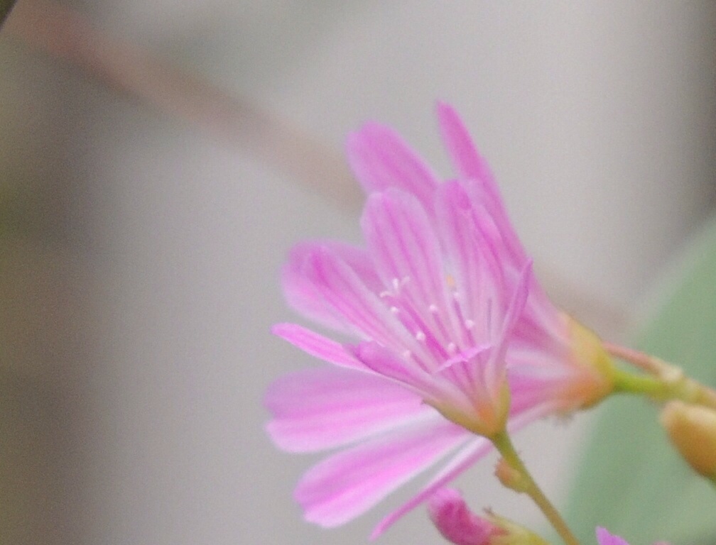離さないで