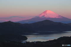大観山紅富士
