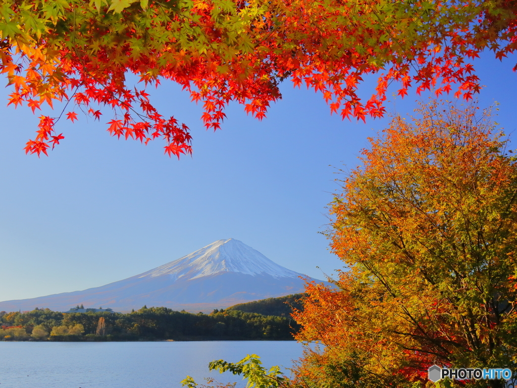河口湖紅葉