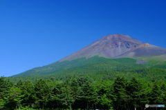 「夏富士」