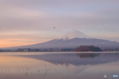 静かな朝