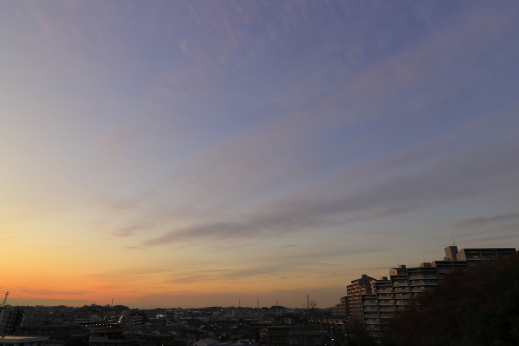 都築夕景