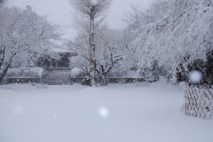 雪舞う