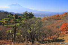 忍野の秋