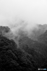 「鎮」