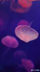 「浮」