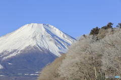 「冬景色」