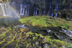 「白糸の滝」