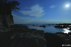 荒崎　月夜