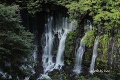 「白糸の滝」