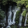「白糸の滝」