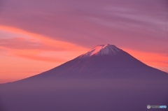 「麗しの陽光」