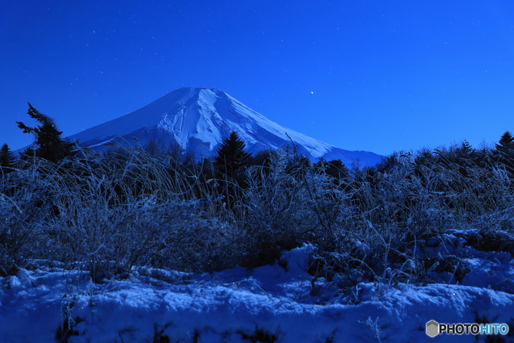 月夜の灯り