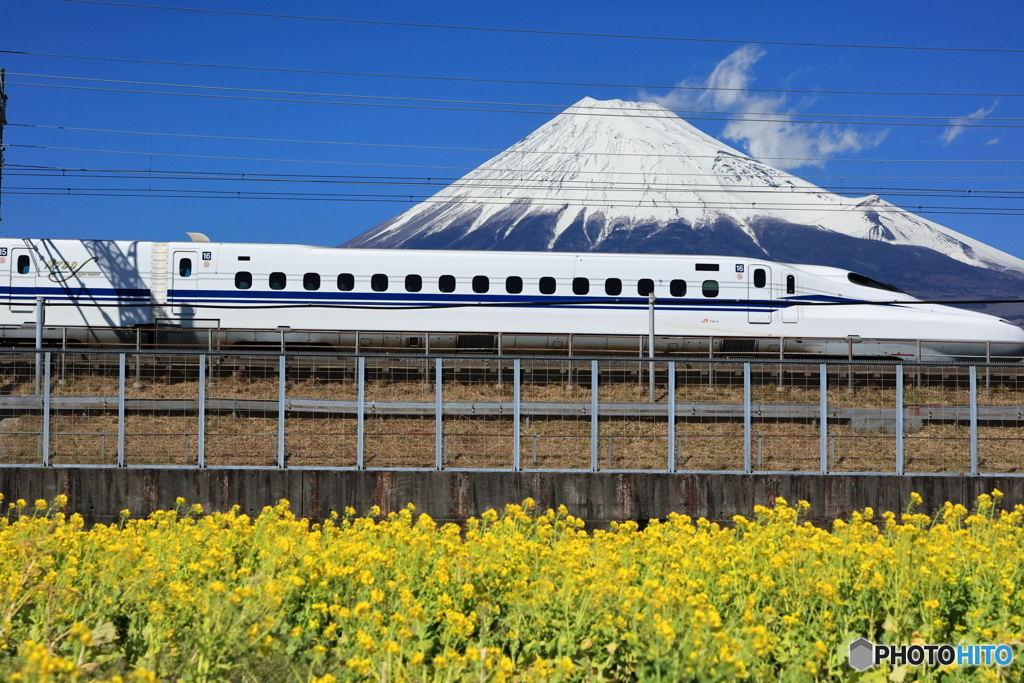 N700Sと菜の花