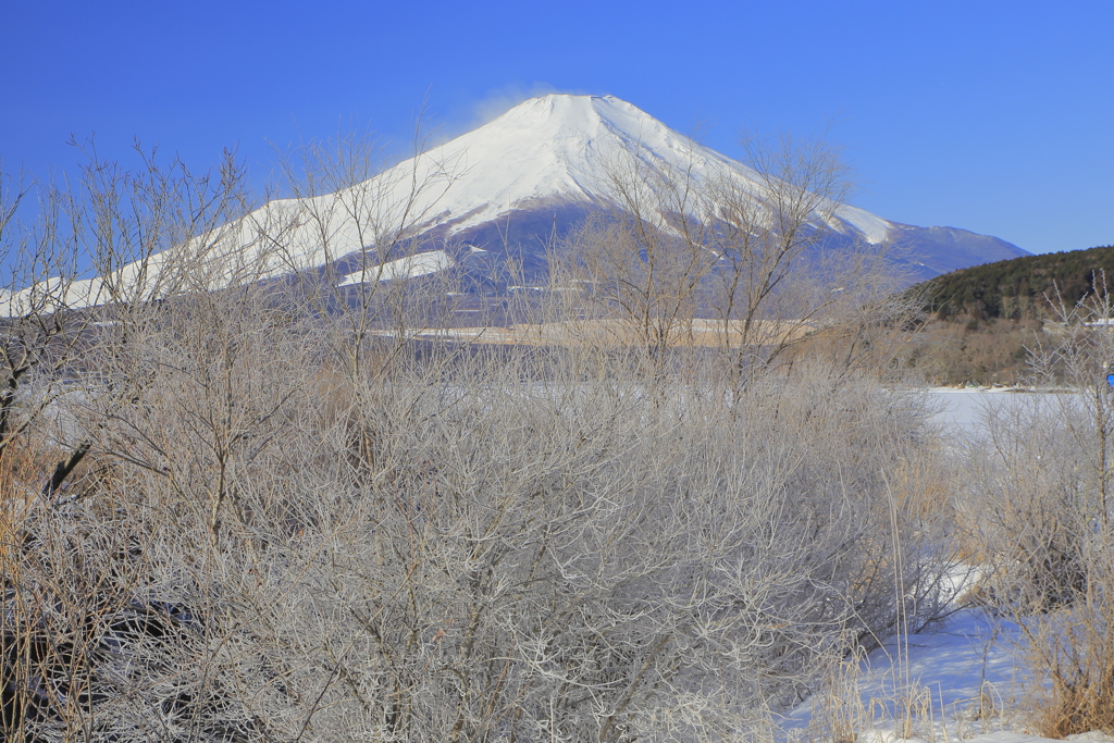 カレンダー２月