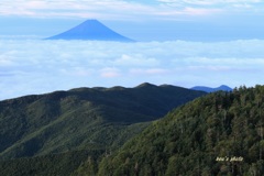 撮りたかった一枚