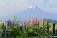 「大石公園」