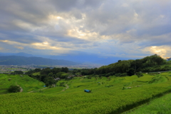 稲倉　夕景