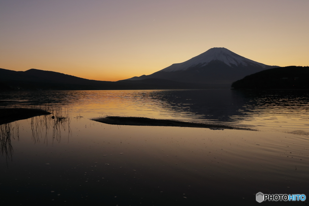 黄金色に染まる山中湖