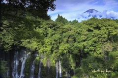 「白糸の滝」