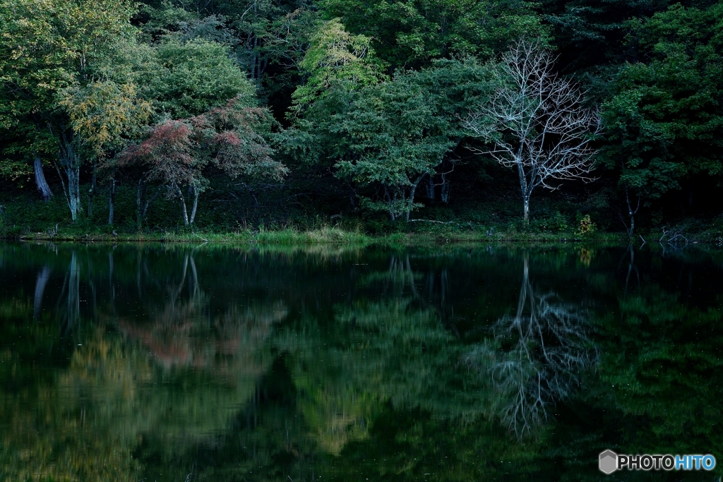 「椹池」