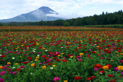カレンダー７月