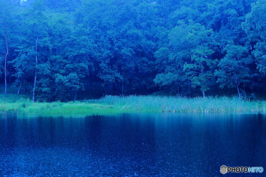 「雨の溜池」