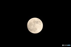 月夜