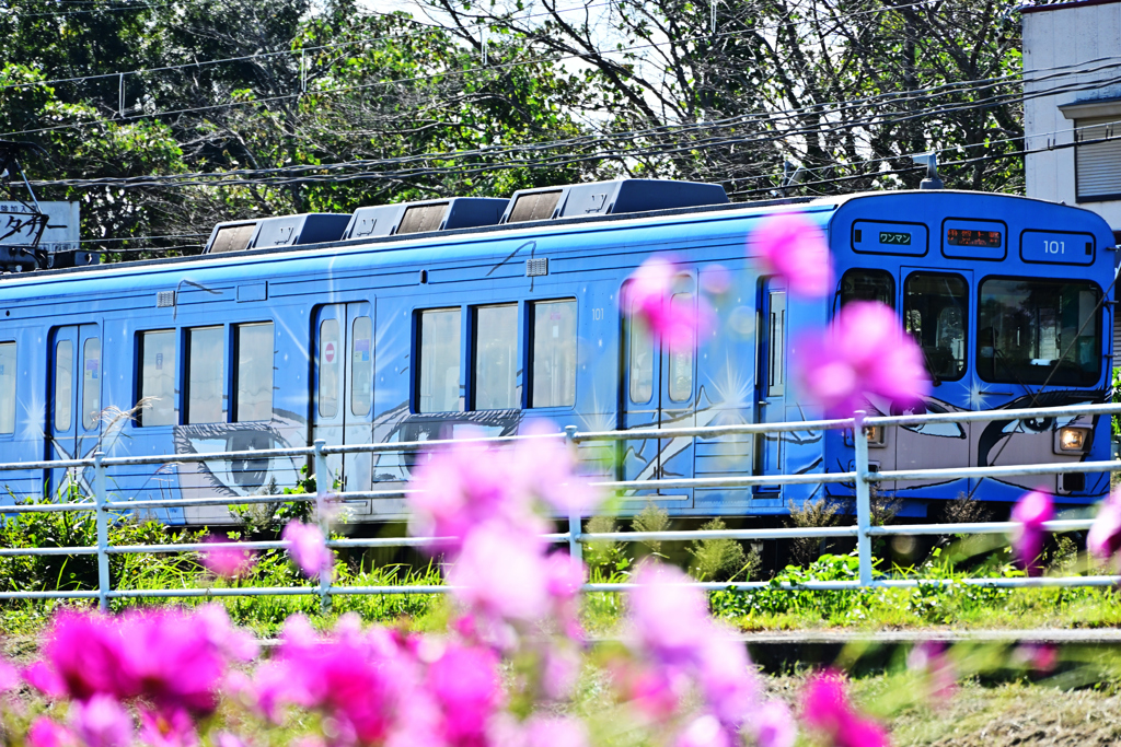 忍者列車