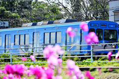 忍者列車
