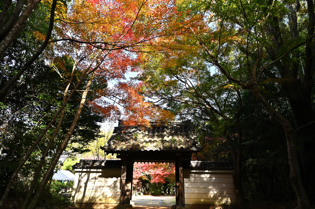 円光寺