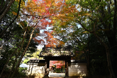 円光寺