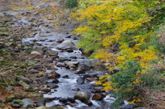 晩秋の渓谷