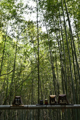 竹林のオブジェ